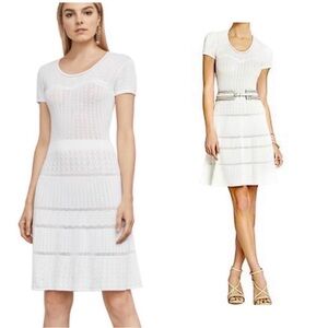 BCBGMaxAzria Roza Sweetheart Dress